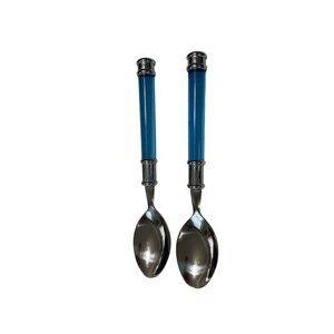 Lot of 2 Blue Clear Plastic Handle Stainless Steel  Oval Place Spoons